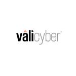 Vali_Cyber-02.jpg