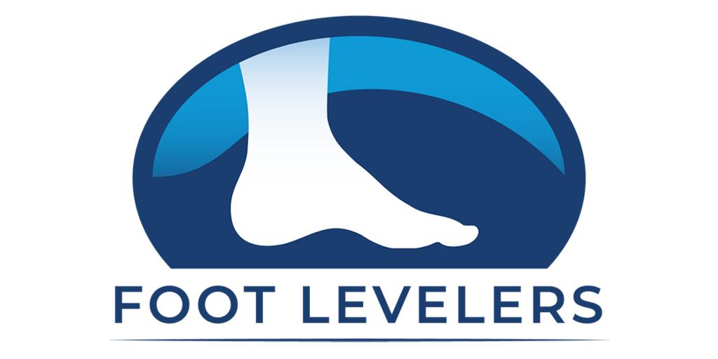 FLI 2023 logo blue