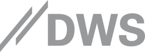 DWS Group Logo