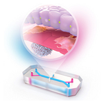 Emulate Enters Final Stage of FDA ISTAND Program for Human Liver-Chip with Submission of Qualification Package Covering Both Zoë® and AVA™ Organ-Chip Platforms 2 Liver