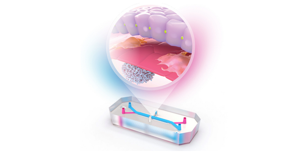 Emulate Enters Final Stage of FDA ISTAND Program for Human Liver-Chip with Submission of Qualification Package Covering Both Zoë® and AVA™ Organ-Chip Platforms 1 Liver