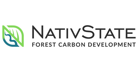 NativState LLC Logo