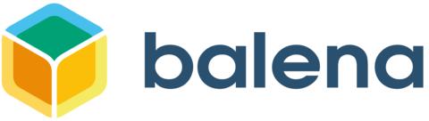 Balena Logo