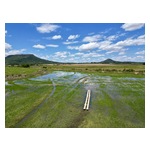 Enrolled_rice_fields_in_Rio_Grande_do_Sul.jpg