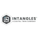 Intangles%E2%94%AC%C2%AB_NA_Logo_-_Grey.jpg