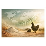 54605361_MULTI_MINERALS_AUSTRALIA_Picture_2.jpg
