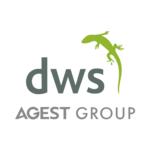 DWS_-_Group_logo.jpg