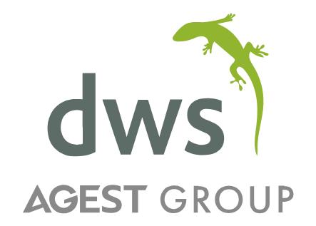 Developing World Systems Ltd Logo