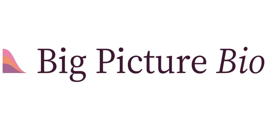Big Picture Bio Founded to Identify, Design and Optimise Promising Cancer Combination Therapies 1 logo plum