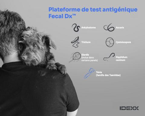 original Plateforme de test antigénique Fecal Dx™