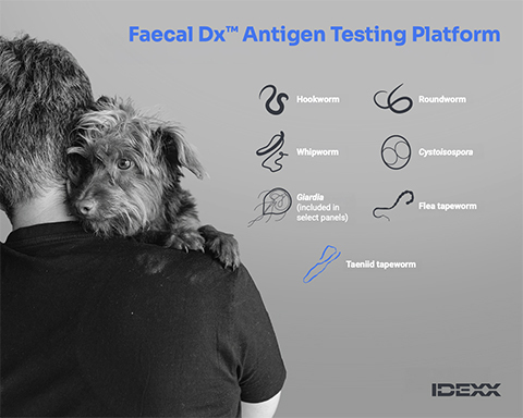 IDEXX Faecal Dx™ antigen testing platform menu