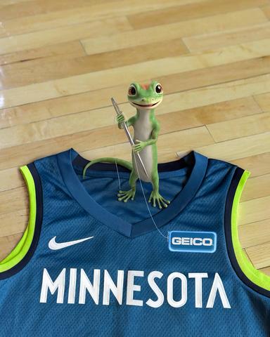 original The WNBA’s Minnesota Lynx and GEICO announced a partnership naming GEICO the team’s Official Jersey Patch Partner and the Official Home & Auto Insurance Partner.