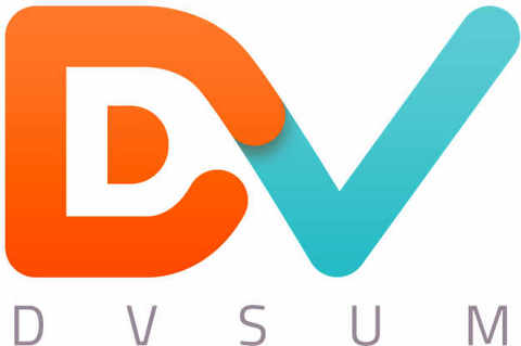 DvSum Logo