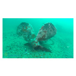 Green_Oceans_Underwater_Components_Print_20x11.25_300dpi.jpg