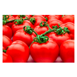 Tomatoes.jpg