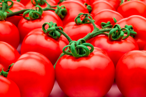 original In one of the largest biological field programs of its kind, EXORT™ technology has delivered consistent yield gains across major crops – rice, soybean, corn, cotton, vegetable and fruits – over multiple years and geographies.