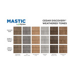 Mastic_Cedar_Discovery_Weathered_Tones_Updated.jpg