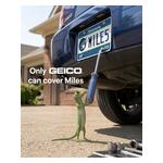 GeckoLynxMiles_%283%29.jpg