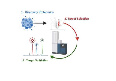 original Discovery-to-Validation target workflow