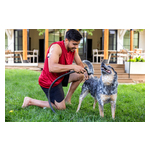 PR19_SR100786_Tandem_Tristan_Dog-0364.jpg