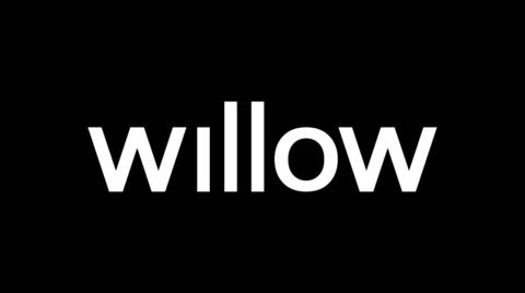Willow Logo