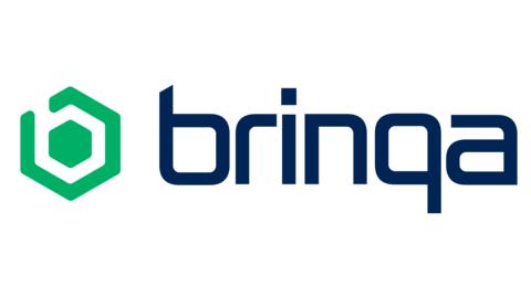 Brinqa Logo