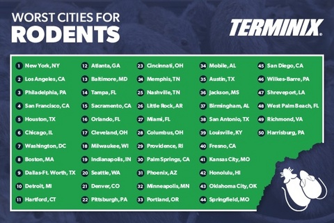 original Cities that have the most rats in the US