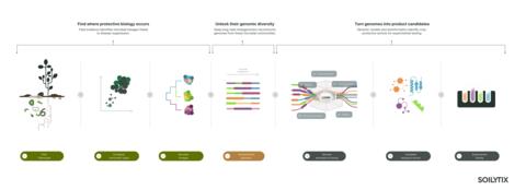 original Soilytix’s bio-asset discovery platform connects field evidence with deep long-read metagenomics and genomic AI to identify and prioritise microbial genes and proteins as crop-protection candidates for experimental testing.