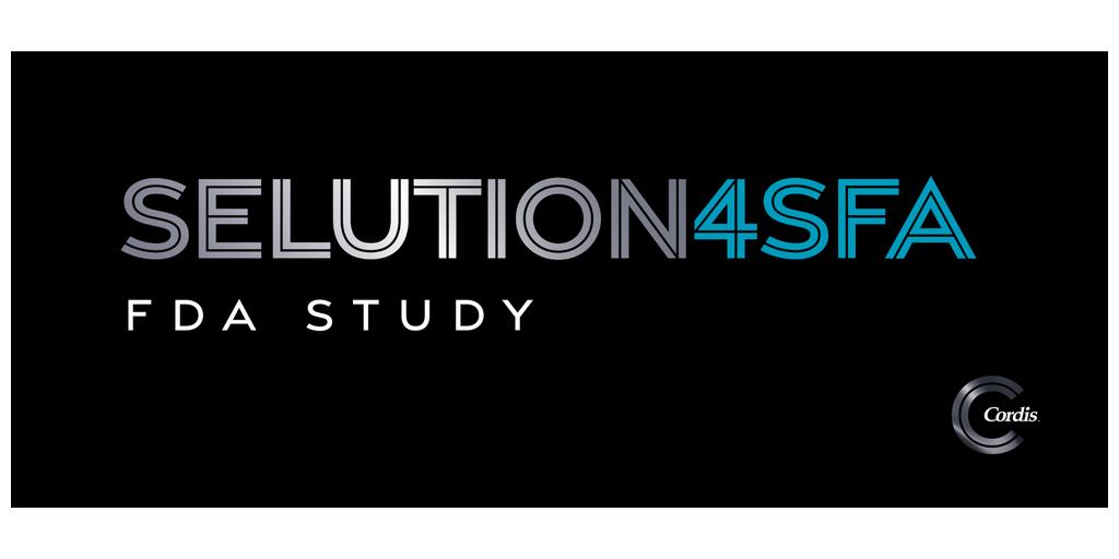 SELUTION4SFA PR %281%29