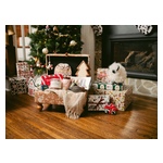 TSC_Christmas_Catelog-148.jpg