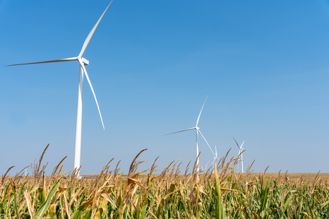 original Cargill has entered into a VPPA for 87 MW of wind power from the Sweetland Wind project in South Dakota.