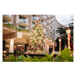 WKR_TreeLighting_2024-128.jpg