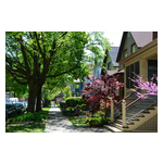 iStock-2258528222.jpg