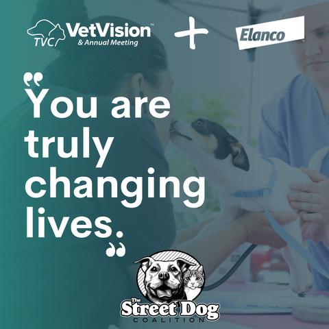 original The Veterinary Cooperative hosted their 2nd annual Paws for a Cause BINGO Charity event benefitting The Street Dog Coalition. Elanco matched TVC donations, with a total gift of over $14,000.