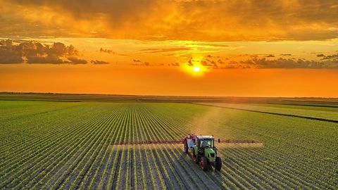 Lubrizol’s agriculture solutions bring decades of formulation science and specialty chemistry expertise to the evolving needs of crop care formulators