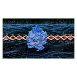 AlgenBio_AlgenBrain_Image_%28media%29_updated.jpg