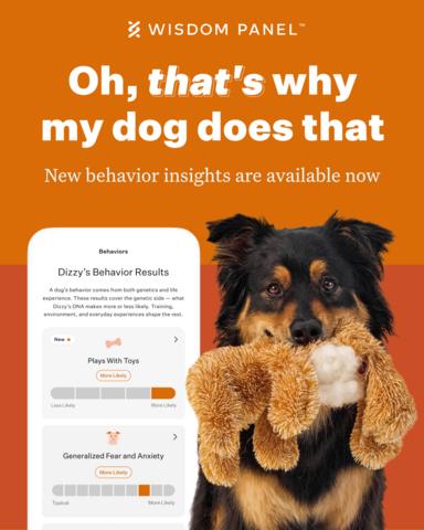 original Wisdom Panel now offers 25+ behavior insights - more than any other dog DNA test on the market.