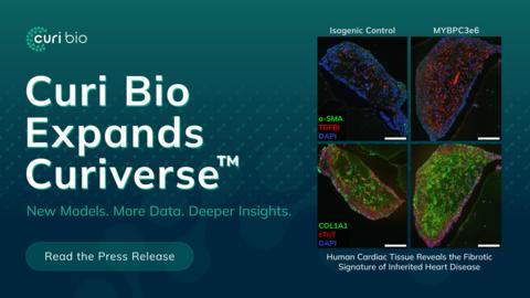 original Curi Bio Expands the Curiverse™ with New Disease Models, Casting Kits, and Application-Ready Solutions
