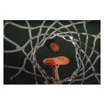 26SF_Court_056_TR.jpg