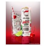 CELSIUS_WinterSpritz-Digital_Concept-1-V3_%281%29.jpg