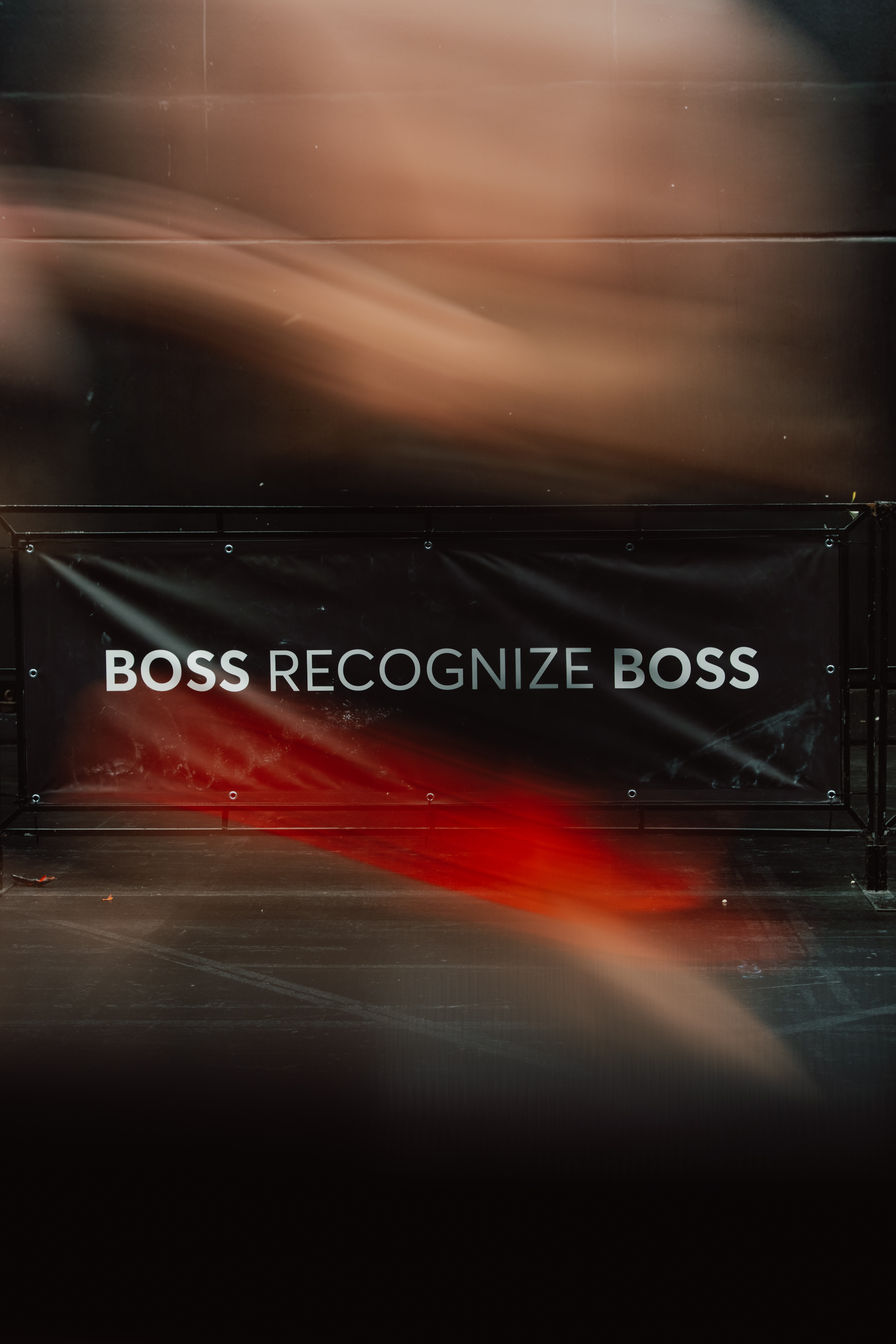 BOSS RECOGNIZE BOSS