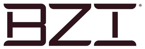 BZI Logo