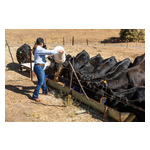 Alli_Fender_feeding_brewers_grains.jpg