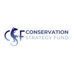 2024_CSF_logo-Global_blue_no_background.jpg