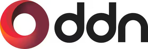 DDN Inc. Logo