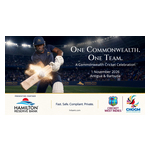 HRB_Cricket_image_for_PR.jpg