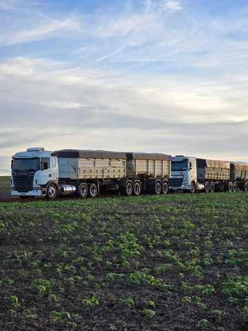 Trucks deliver crushed rock to a Terradot enhanced rock weathering site in Brazil.