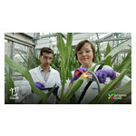 PIC_Science_names_Syngenta_as_top_employer_in_agriculture.jpg