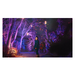 2025_Event_WinterWonders_Horizontal.jpg